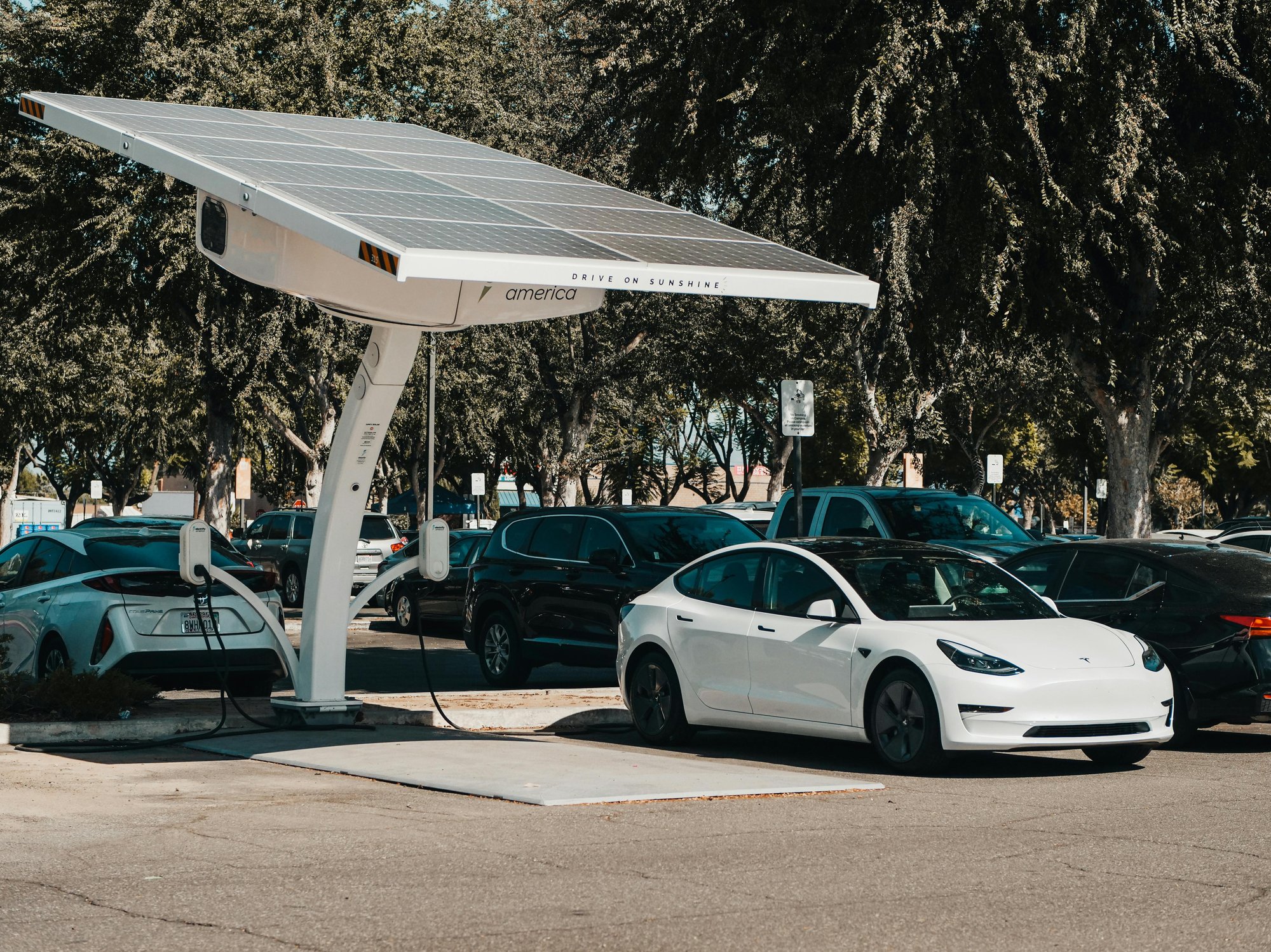 auto elettriche