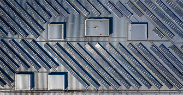 Rectangle 29 Rectangle 29